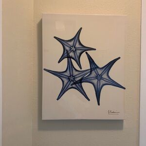 New Starfish Canvas Wrapped Wall Art